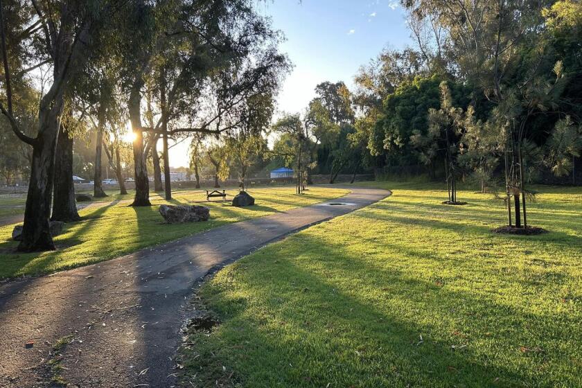 This area of Central Park in Huntington Beach is casually referred to as the "nature plateau."