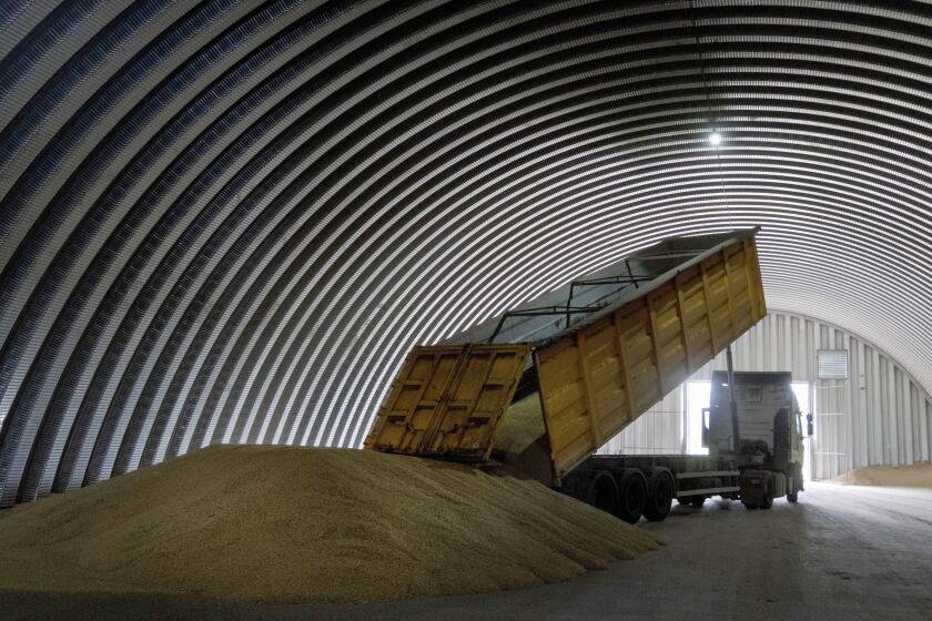 FILE - A dump track unloads grain in a granary in the village of Zghurivka, Ukraine, on Aug. 9, 2022. Ukraine, Poland and Lithuania have agreed on a plan they hope will help expedite Ukrainian grain exports, officials said Tuesday, Oct. 3, 2023, with needy countries beyond Europe potentially benefitting from speedier procedures. (AP Photo/Efrem Lukatsky, File)