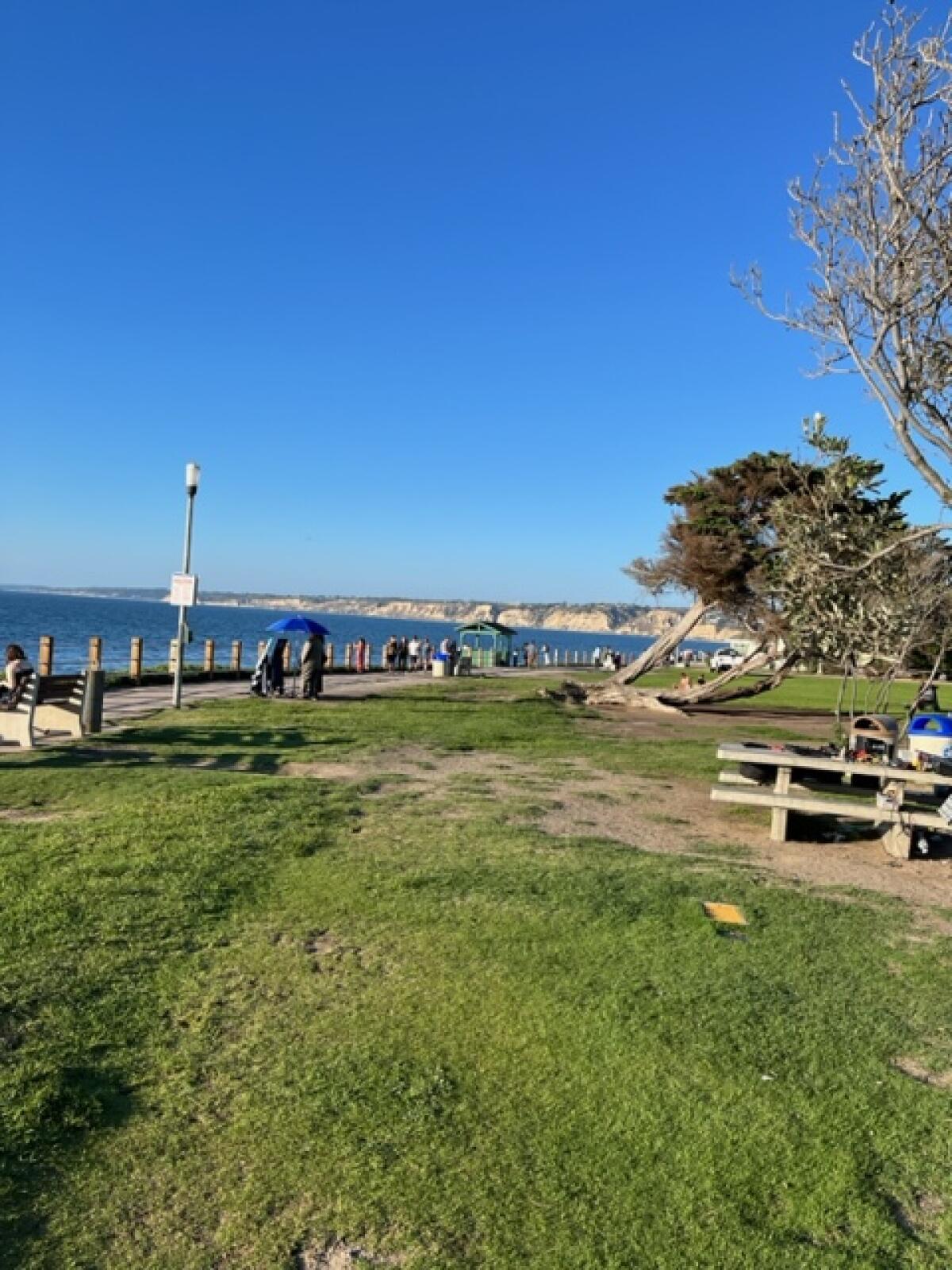 Scripps Park in La Jolla was nearly vacant of vendors in this photo taken Sept. 6.