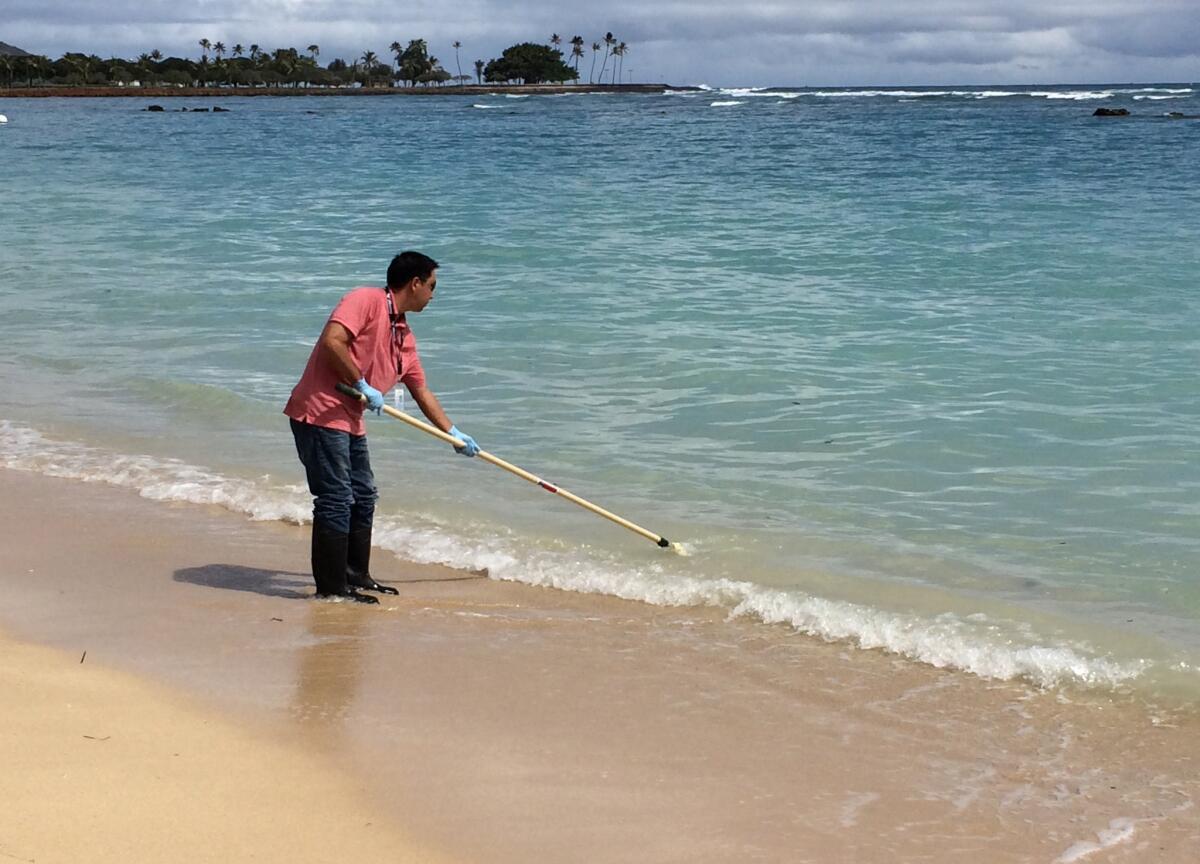 Scott Muranka of the Hawaii Department of Health takes a water quality sample Tuesday at Ala Moana Beach Park in Honolulu.