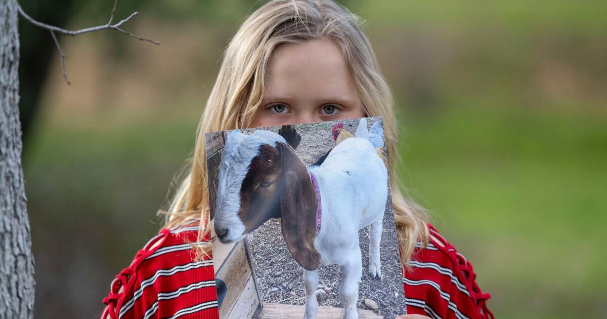 California countersues family whose goat was slaughtered