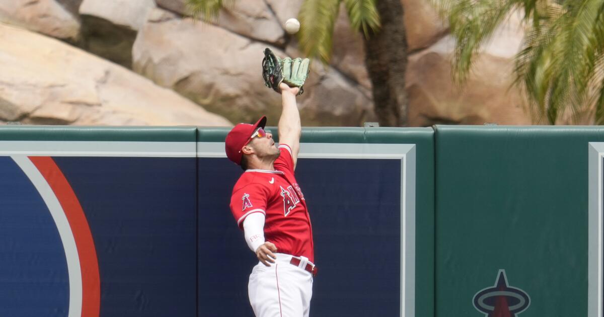 Los Angeles Angels 2019 Spring Training Gift Guide