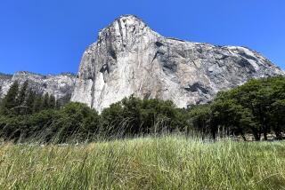 YOSEMITE NATIONAL PARK, JULY 12, 2023 - A view of El Capitan from El Capitan meadow inside Yosemite National Park on July 12, 2023. (Marc Martin / Los Angeles Times)