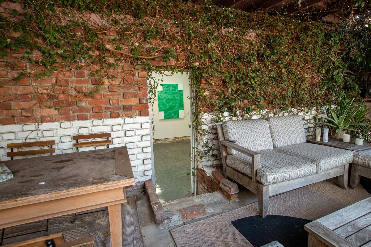 A fig vine grows around a door in a wall from a furnished patio