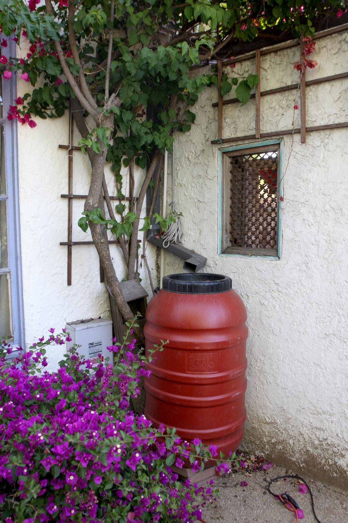 Jay and Kristen Jennings have a rain barrel and drought-tolerant plants at their home in Burbank. Rain barrels are ideal for collecting water, and in turn, the water can be used to nourish plants.