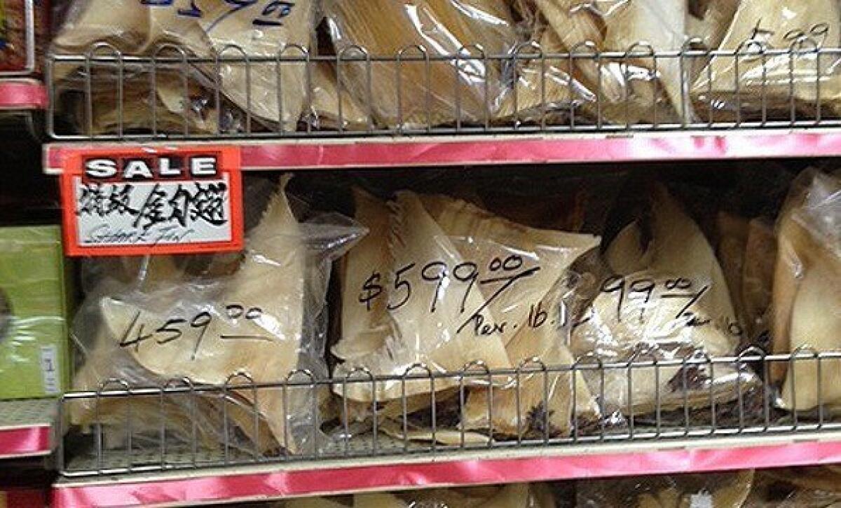 Shark fins for sale in Los Angeles' Chinatown at $600 a pound. As of Monday they will be illegal in California.