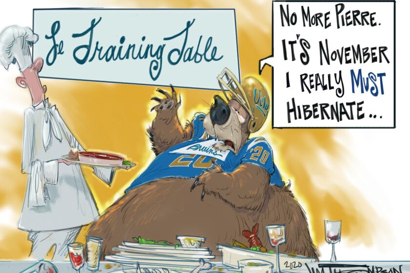 Cartoon on UCLA Bruins.