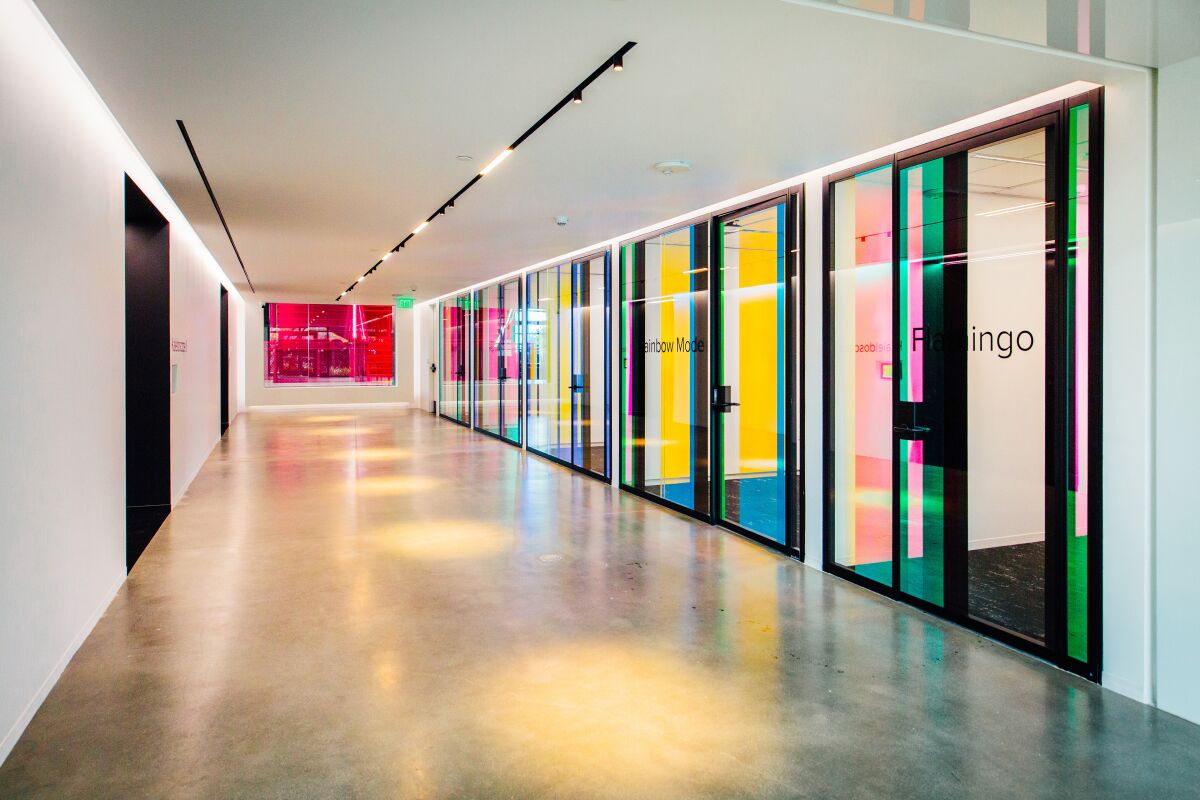 Polished concrete floors and colorful glass windows in the TikTok office in Culver City
