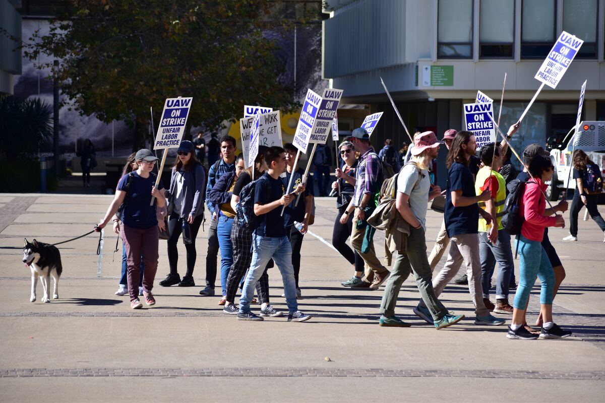 Unionized academic workers picket at UC San Diego in La Jolla after walking off the job Nov. 14.