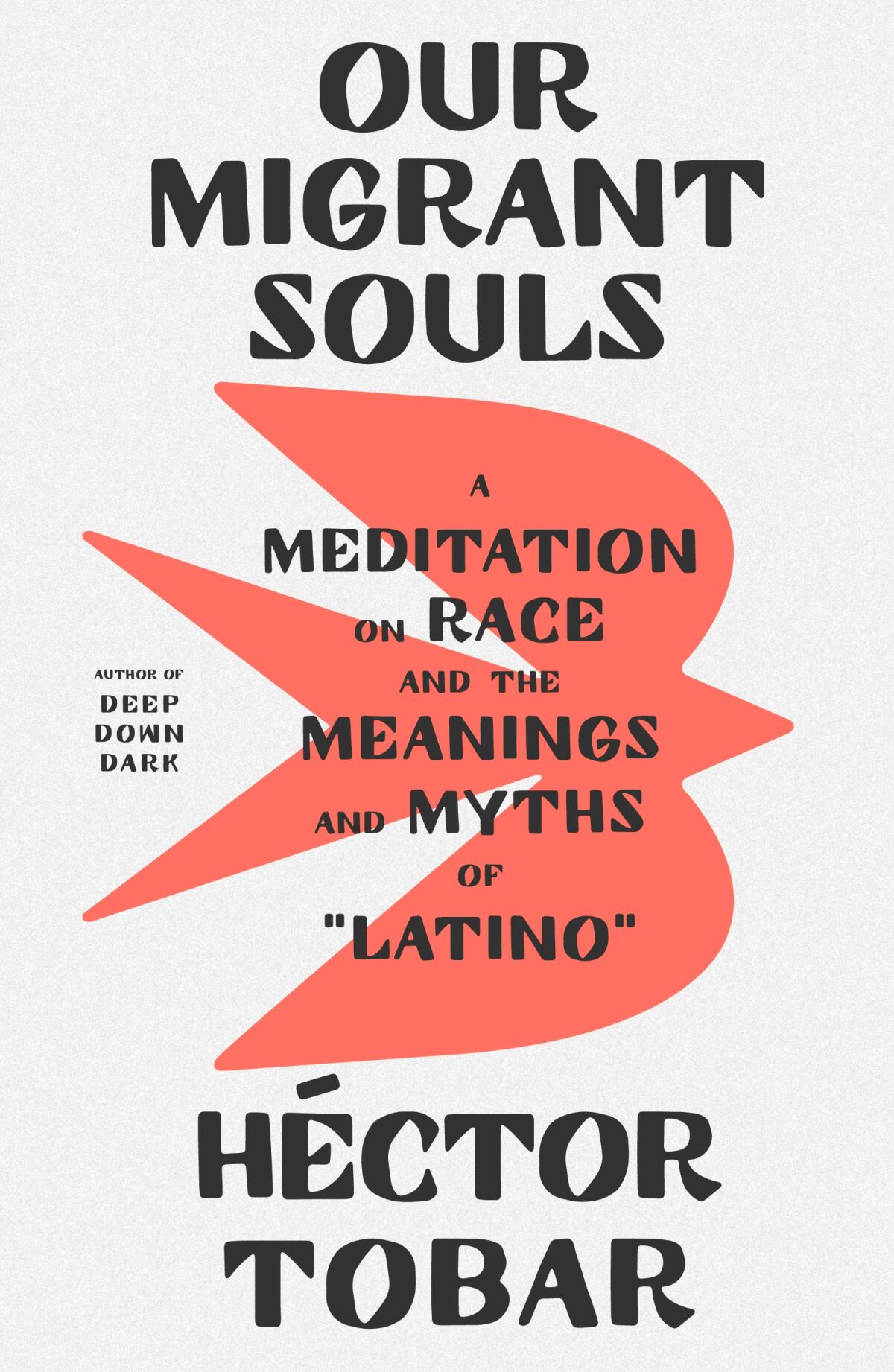 OUR WANDERING SOULS by Hector Tobar