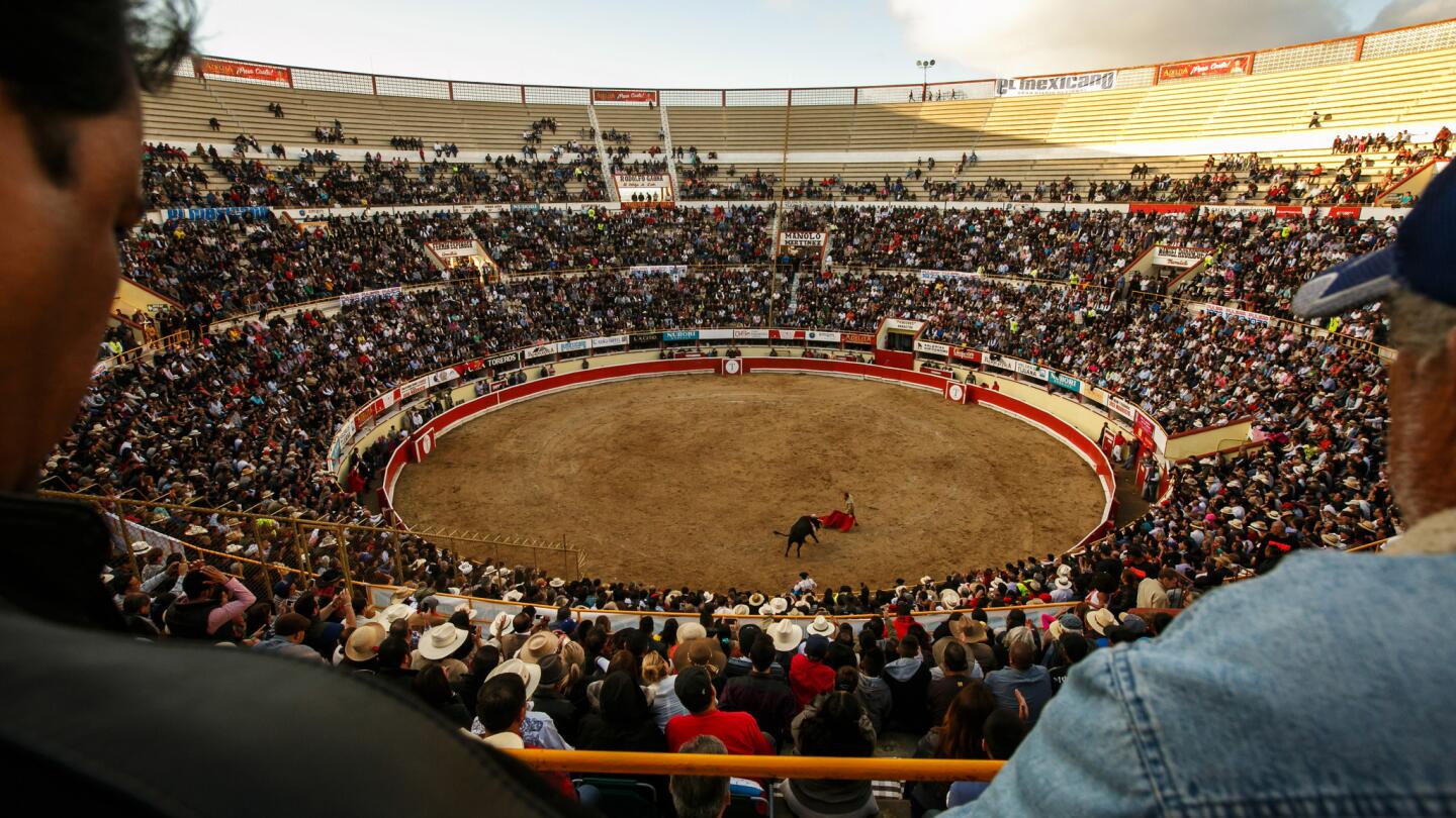 Bullfighting in Tijuana