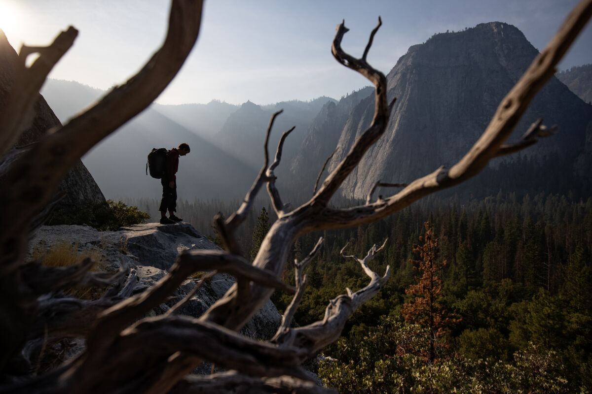 Alex Honnold at the base of El Capitan in Yosemite National Park.