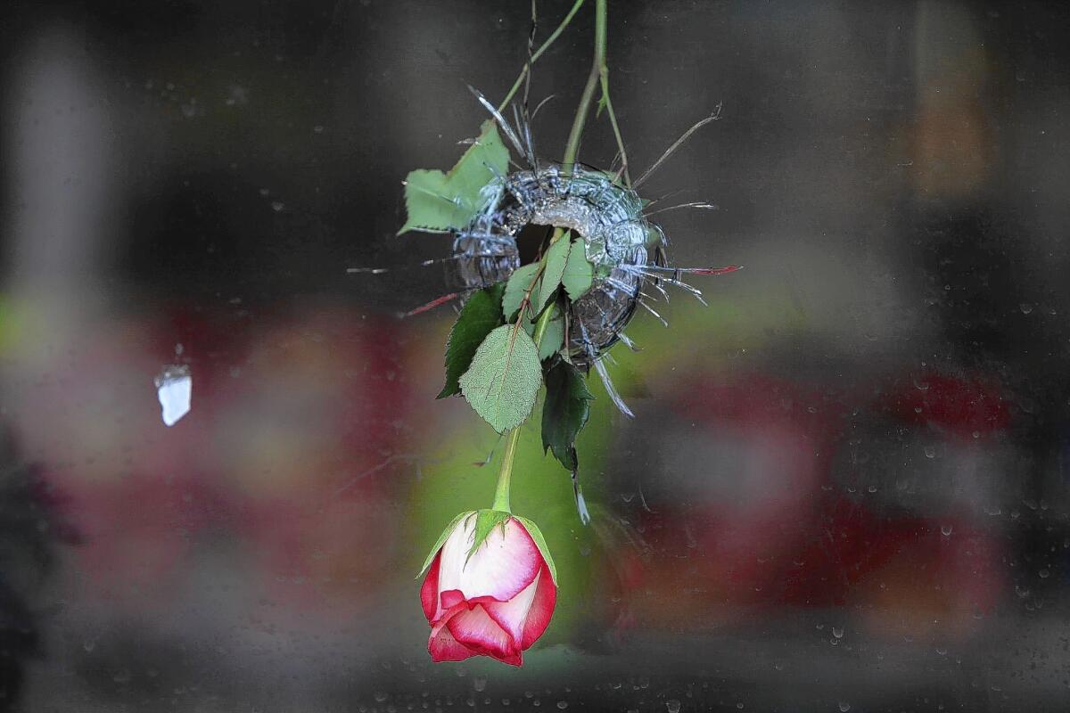 Flowers hang in a bullet hole in the window of the I.V. Deli Mart in Isla Vista, Calif.