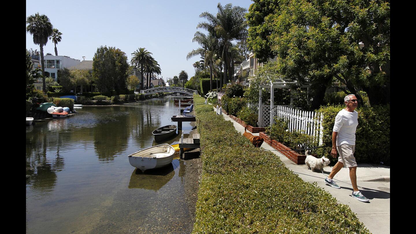 L.A. Walks: Venice Canals