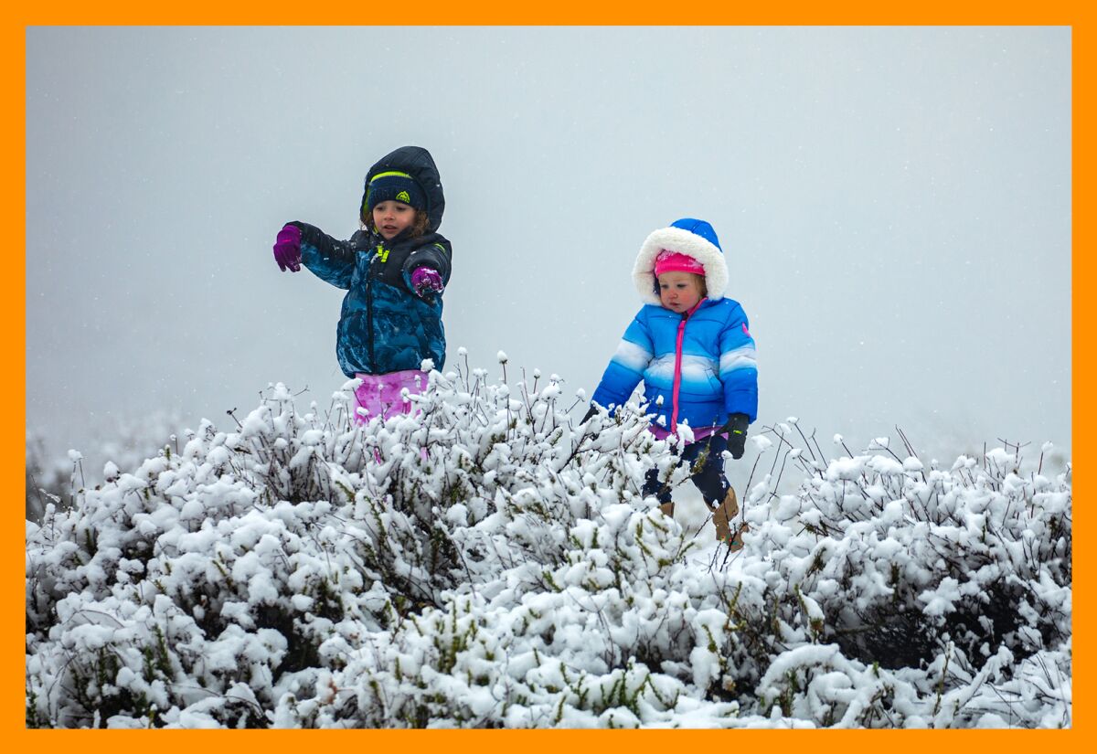 young children play in the snow