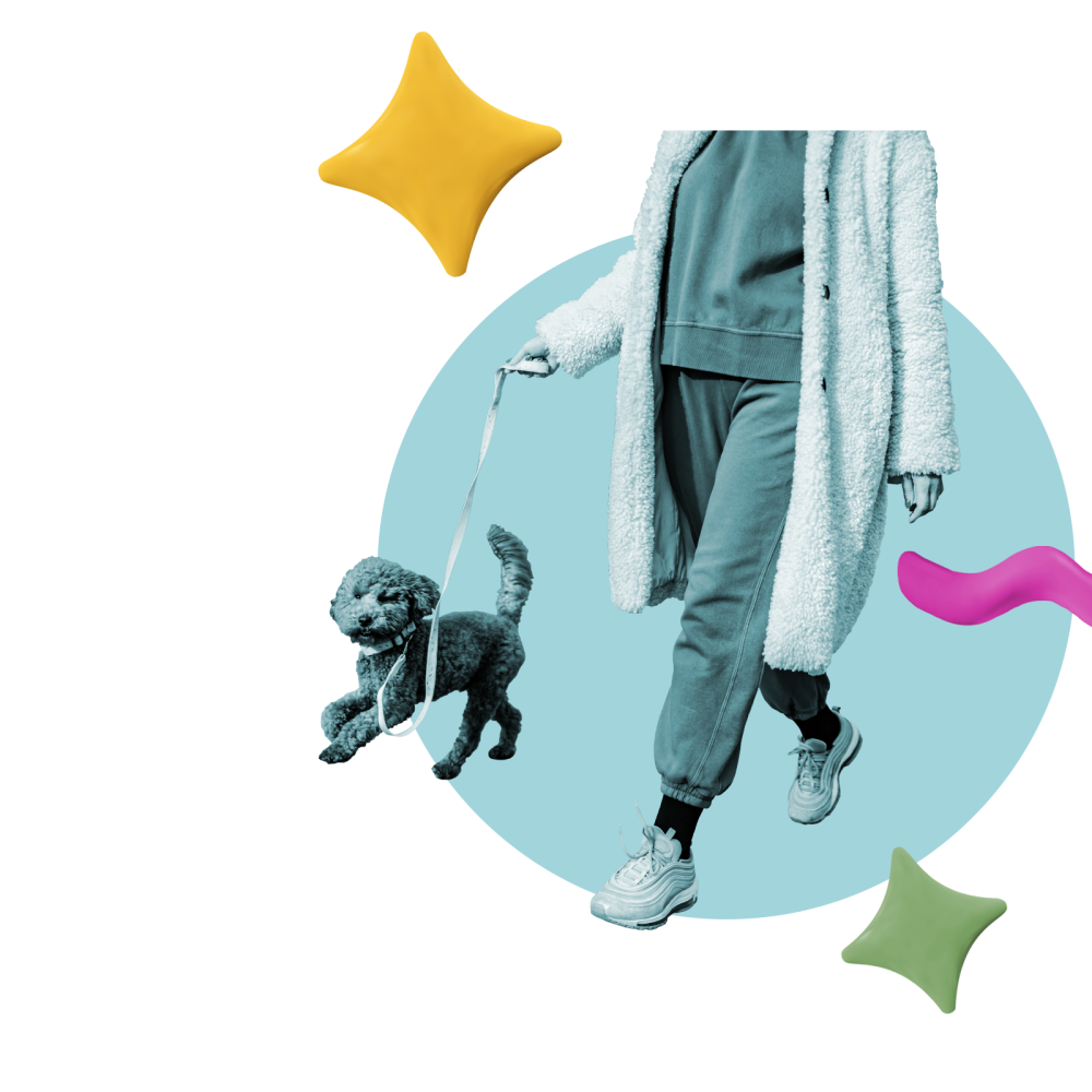 collage featuring a person walking a dog