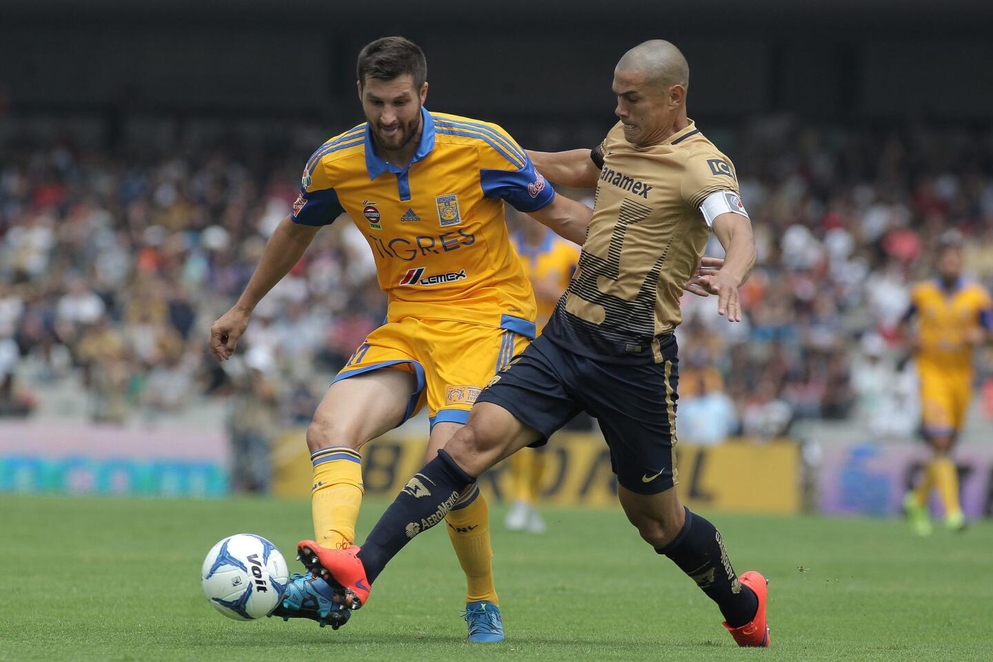 PUMAS VS TIGRES