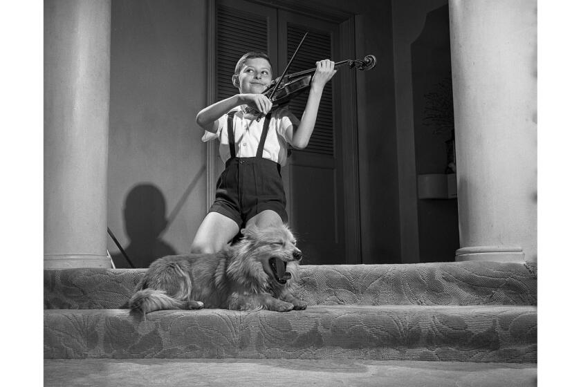 March, 1964: Endre Balogh, young prodigy and first American child to receive the Yehudi Menuhin Scholarship, impresses adults with his musical ability but fails to get the same response from his furry friend Binkie. This photo was published in the March 24, 1964 Los Angeles Times.