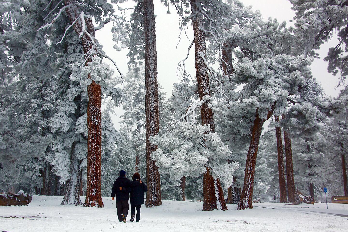 Paul and Sun Hee Lee stroll across the snow-covered Grassy Hollow campground along Angeles Crest Highway above Wrightwood.