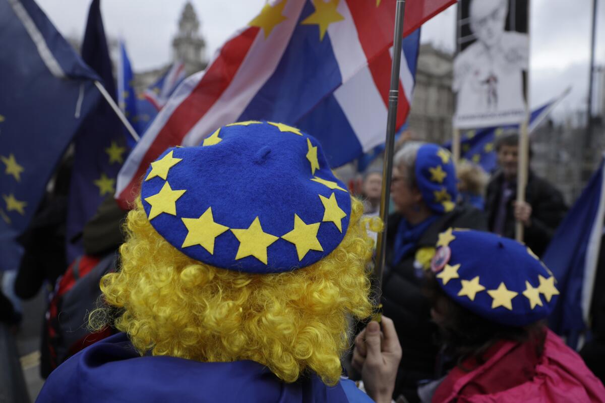 Pro-EU protesters outside the Houses of Parliament in London