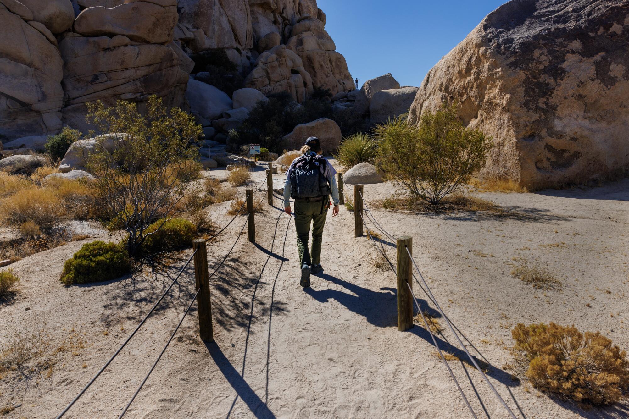 A park ranger with a backpack walks along a roped-off desert trail. 