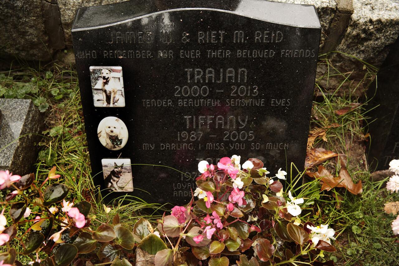 Trajan, Tiffany and Toby are three of the dogs that retired U.S. Army Col. James Reid and his wife, Riet, have buried at Hartsdale Pet Cemetery. Trajan died in 2013; Reid held an open-casket visitation for him at the cemetery.