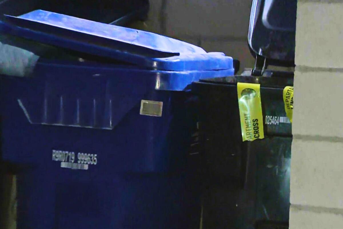 A recycling bin and a trash bin