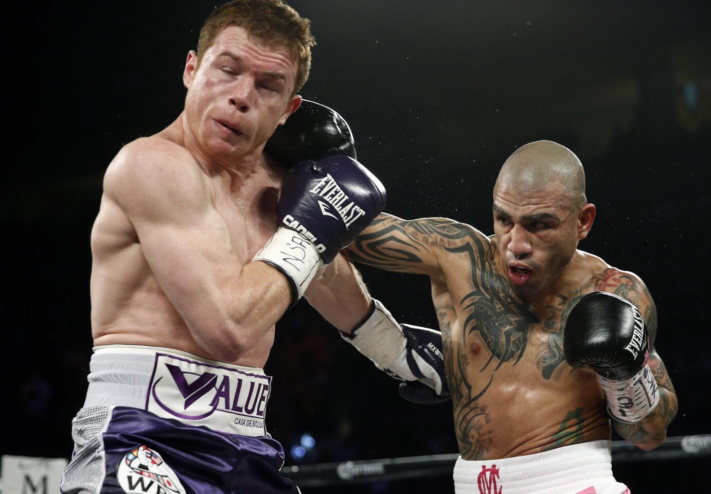 Miguel Cotto v Canelo Alvarez