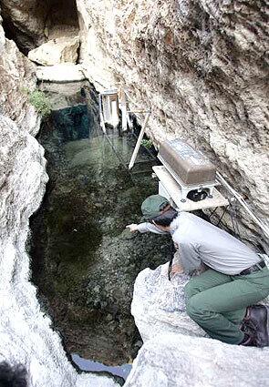 GUARDIAN: David Ek of the National Park Service points to a pupfish in Devils Hole, Nev. Two years ago hundreds of the fish lived in the pool, part of the Death Valley park. Fewer than 80 remain.
