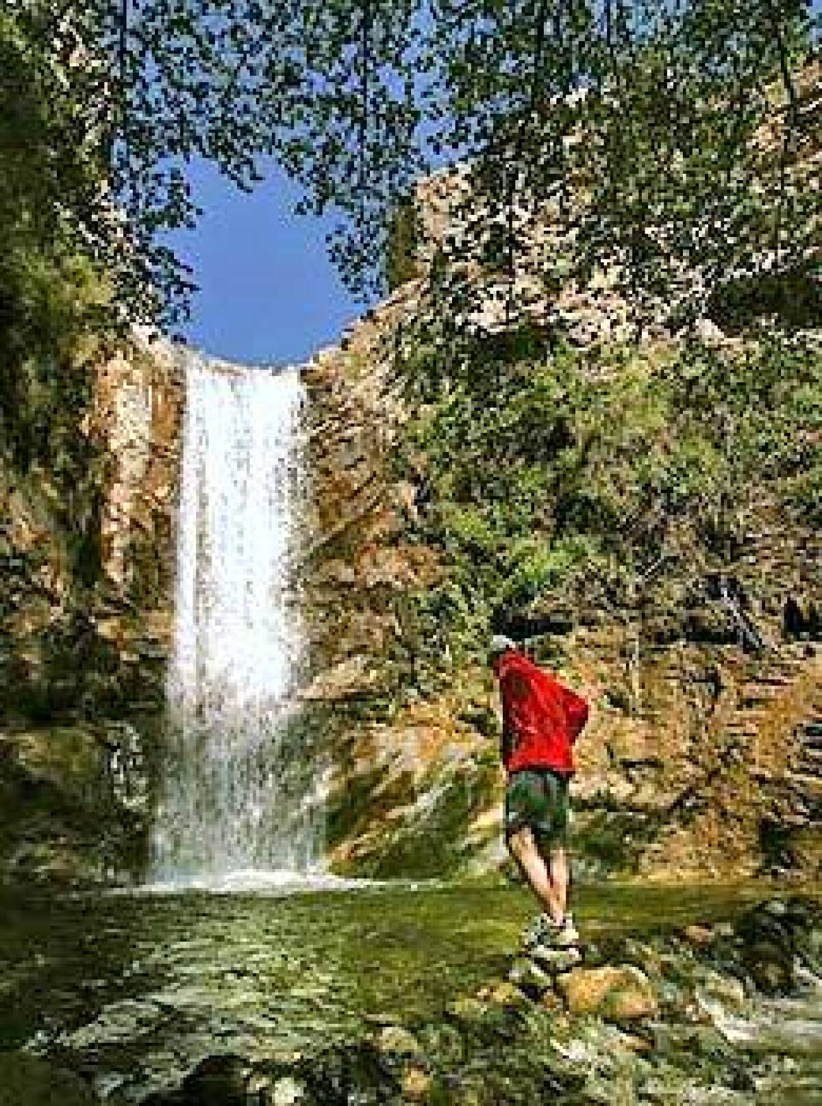 Trail Canyon Falls is an easy to reach 40- to 50-foot curtain pouring like silver over a ledge in Lower Big Tujunga Canyon.