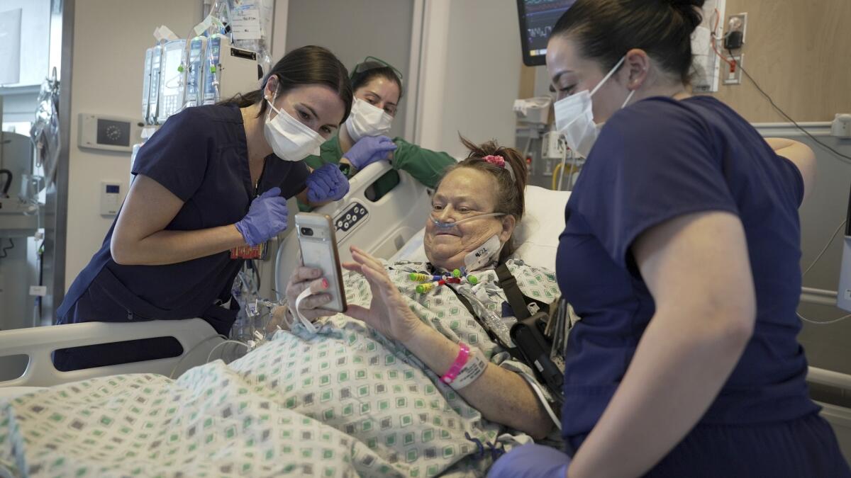 Trasplantan riñón de cerdo a mujer al borde de la muerte - Los Angeles Times