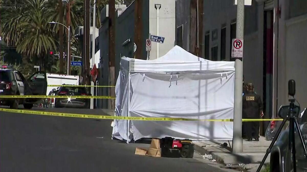 A white makeshift tent blocks from public view the site in a parking lot where a woman's body was found in a shopping cart.