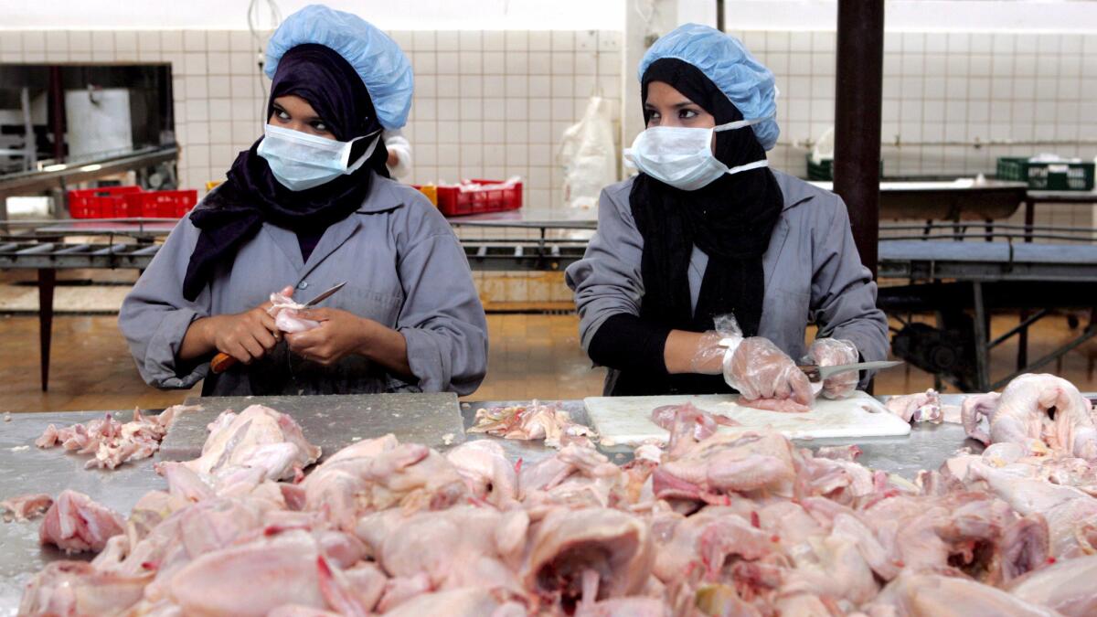 In a 2008 photo, Egyptian workers prepare chickens for the market at a slaughter house in Cairo. Egypt, Indonesia and Vietnam have reported the largest numbers of human cases of avian influenza virus infection, according to the WHO.