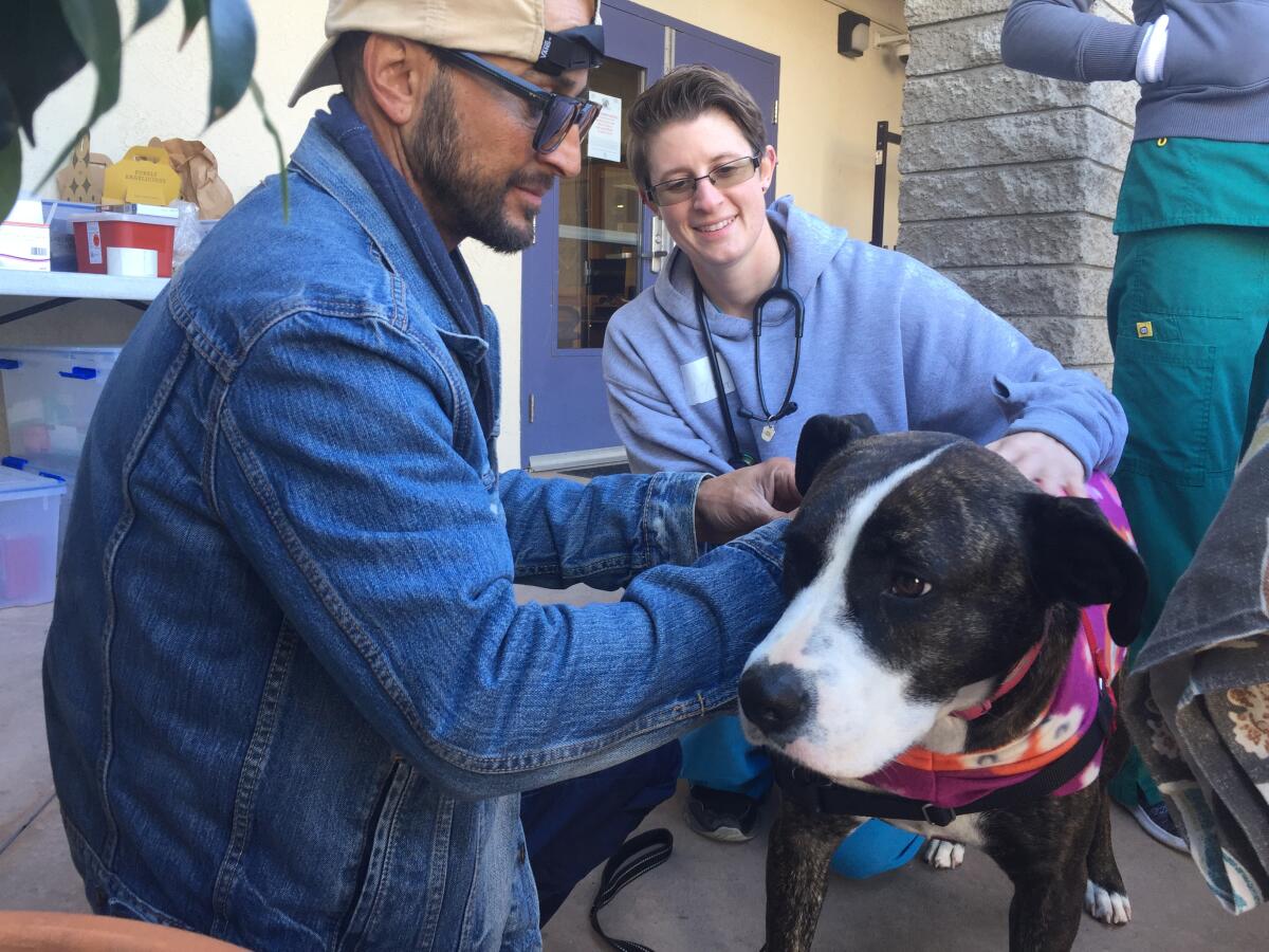 Michael Austin (left) and registered veterinarian technician Logan Gonella put a pet jacket on Austin's dog, Chloe, at a Street Dog Coalition clinic in Ocean Beach.