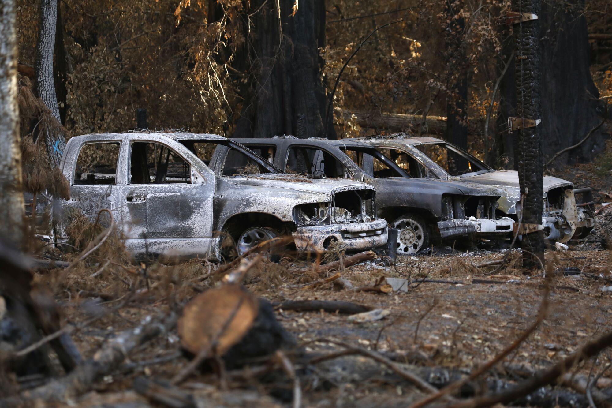 A row of charred vehicles sits in Big Basin Redwoods State Park.