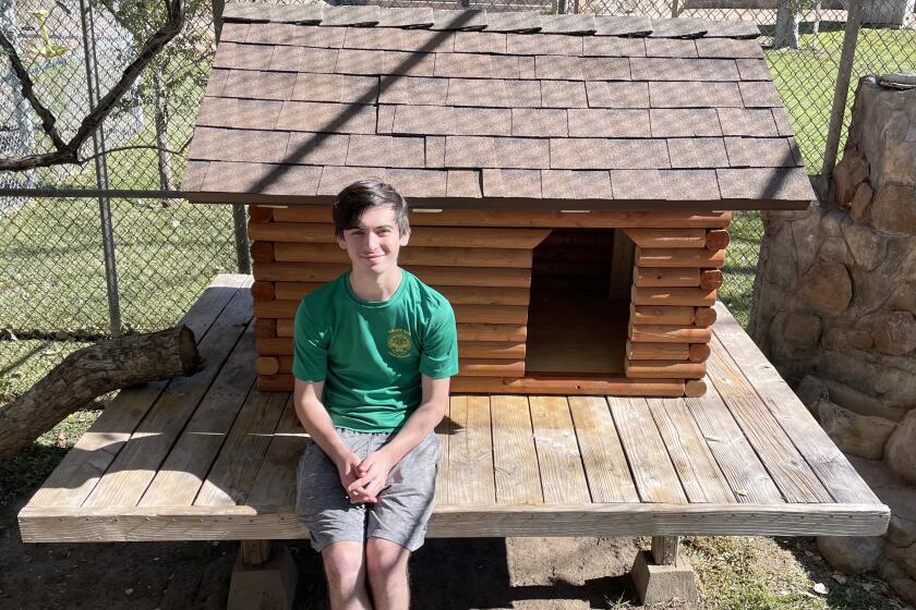 Cody Walker supervised the building of this bobcat house at Lions, Tigers & Bears for his Eagle Scout project.