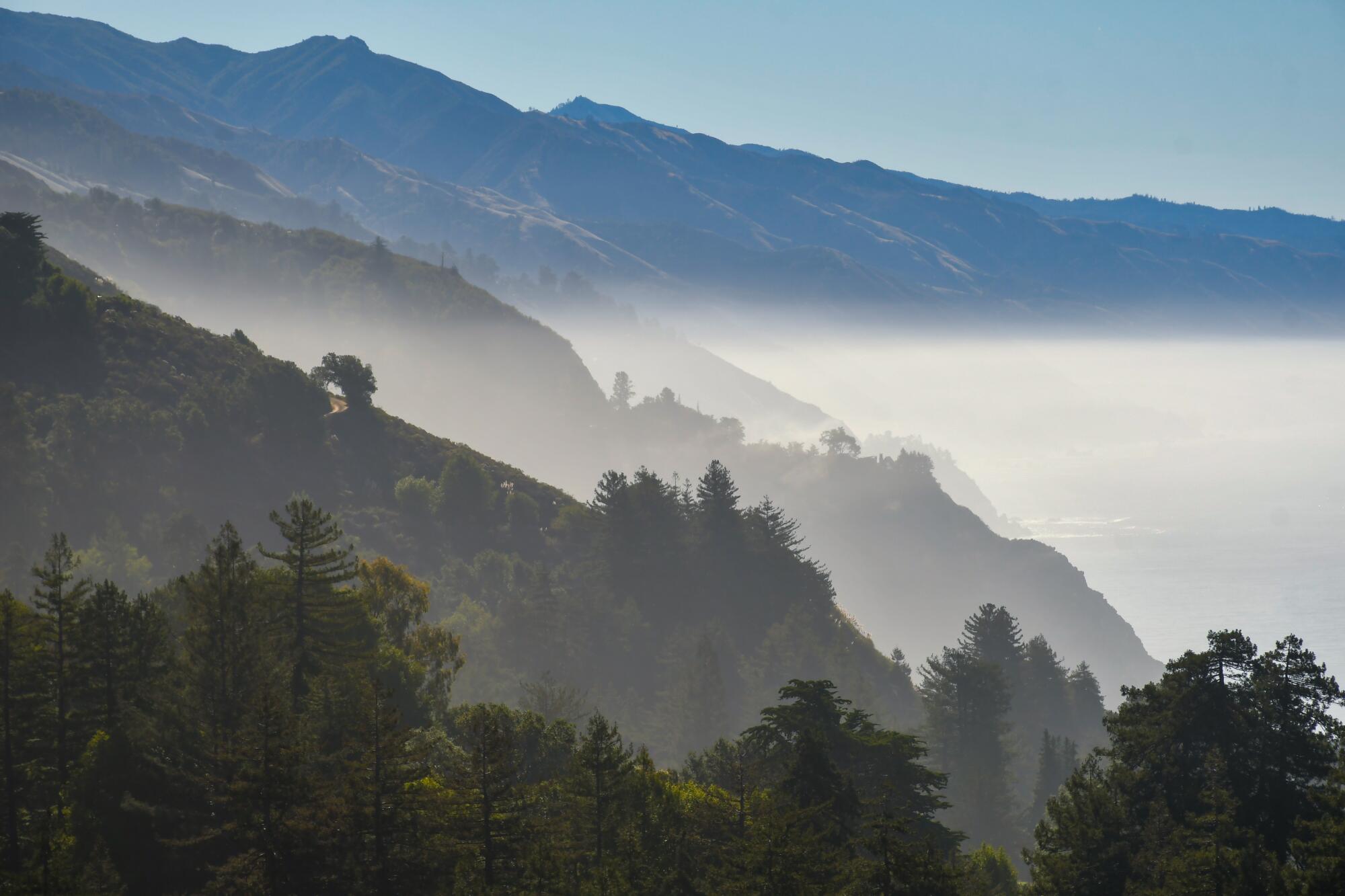 A view of tree-covered mountains receding into the distance