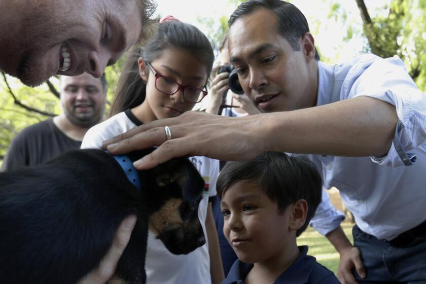 Democratic presidential candidate and former Housing Secretary Julian Castro, right, with his son Cristian, and daughter Carina, visit with Ivan, a puppy up for adoption, during a stop at the Animal Defense League of Texas shelter, Monday, Aug. 19, 2019, in San Antonio. (AP Photo/Eric Gay)