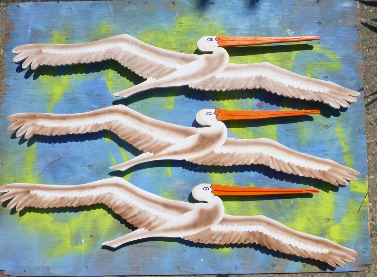 Images of pelicans as plywoodensis art.