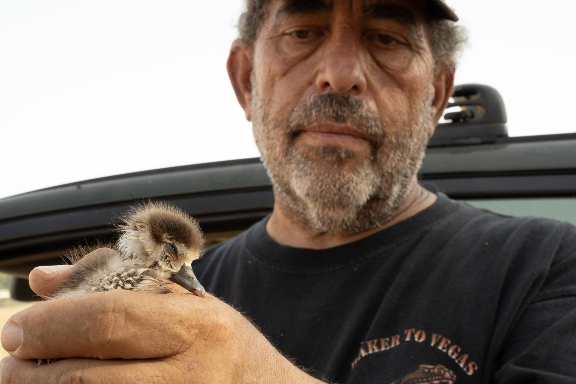 A man holds a gosling.