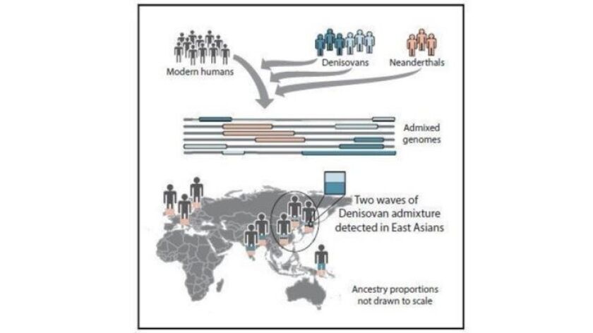 Move over, Neanderthals: Our ancestors mated with ...