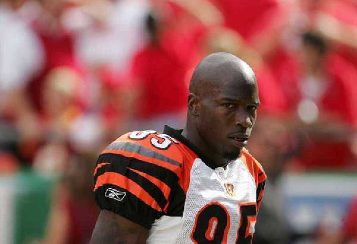 Former NFL star Chad Johnson was sentenced the 30 days in jail on Monday.
