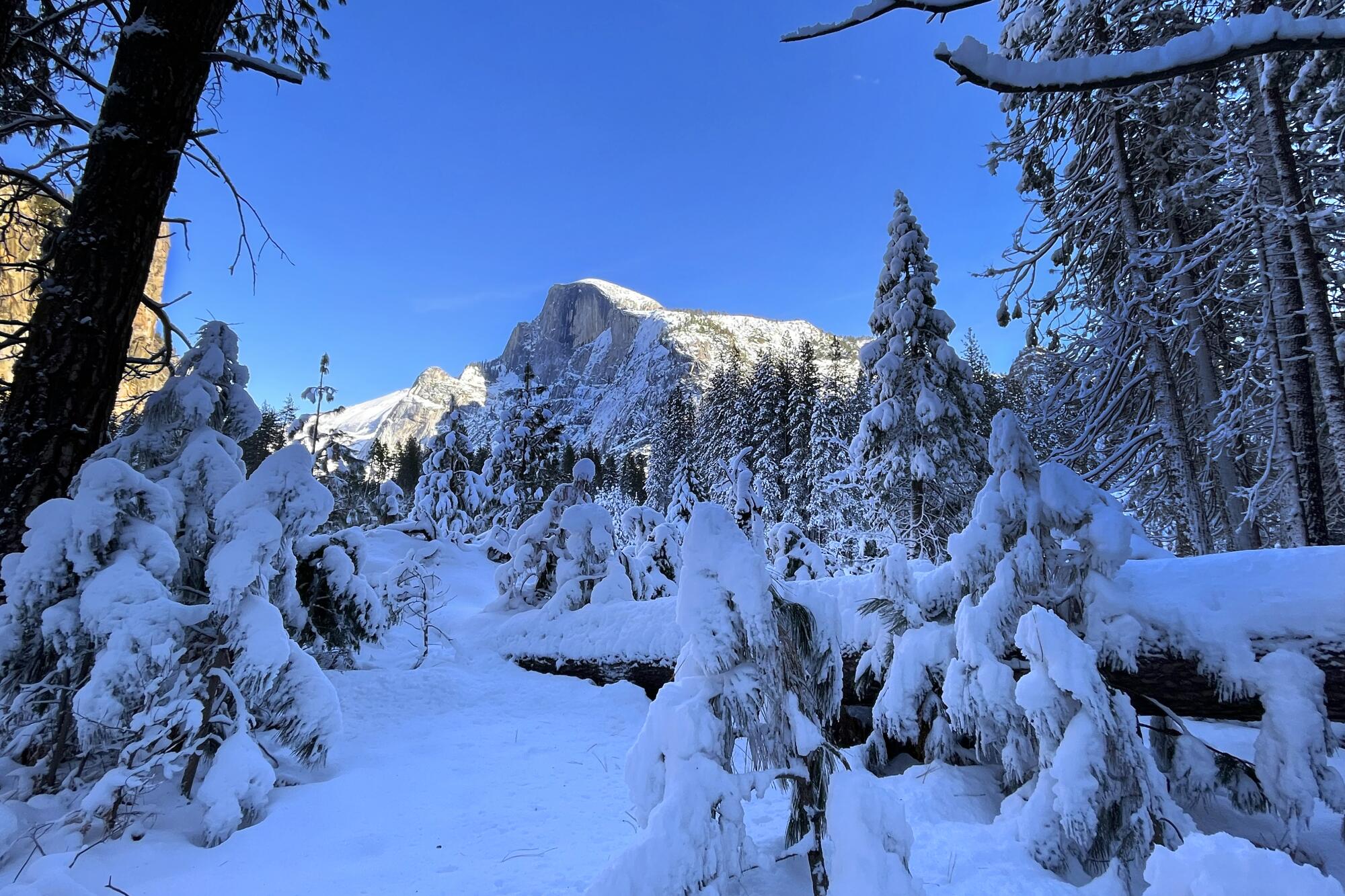 Photos Yosemite Valley under a beautiful blanket of snow Los Angeles