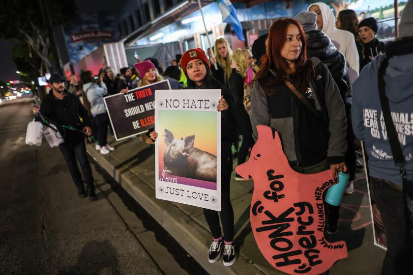 Vernon, CA, Thursday, February 2, 2023 - After years of weekly vigil's, activists gather one last time outside Farmer John meat processing plant the last day it was to take delivery of pigs for slaughter. (Robert Gauthier/Los Angeles Times)