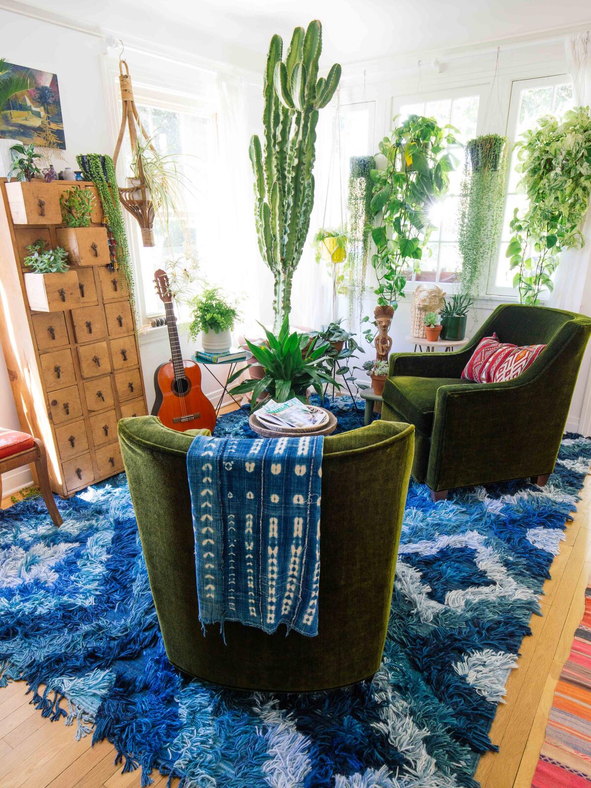 A living room with hanging plants and small plants peeking out of a chest of drawers