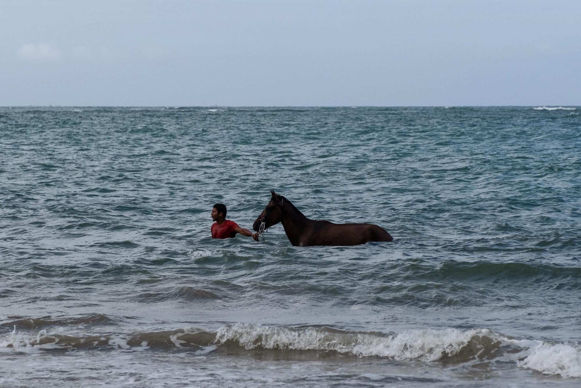 A man walking his horse in the ocean