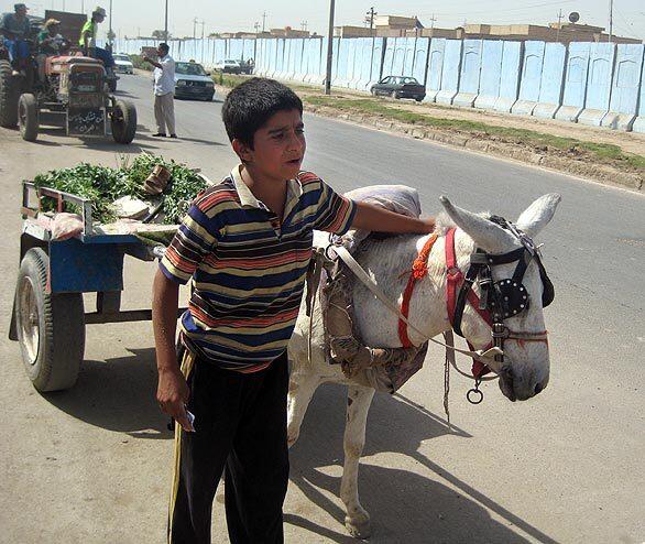 Iraqi children bear burdens